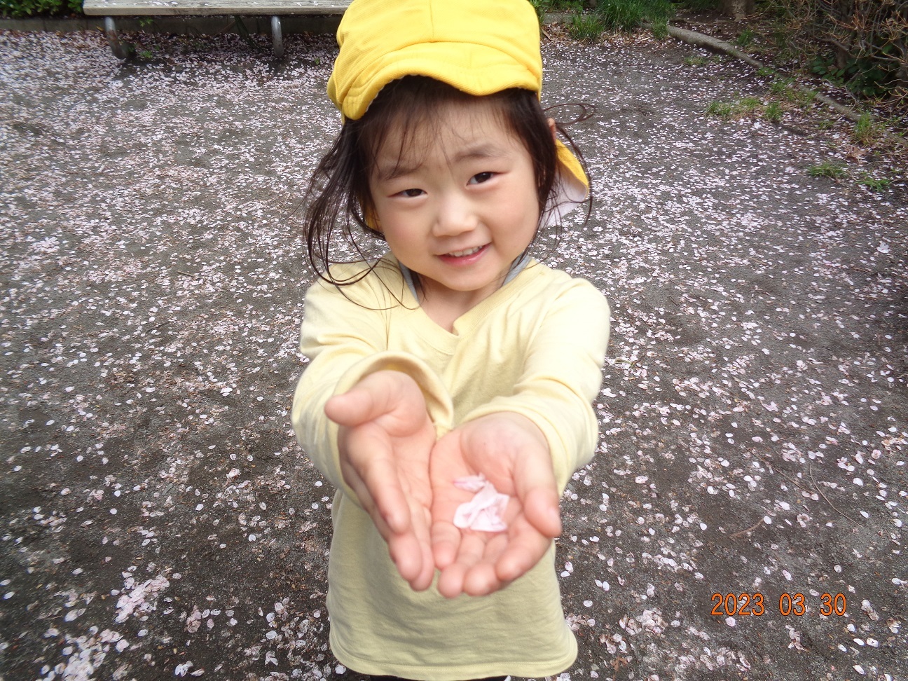 写真：遊具で遊ぶ園児