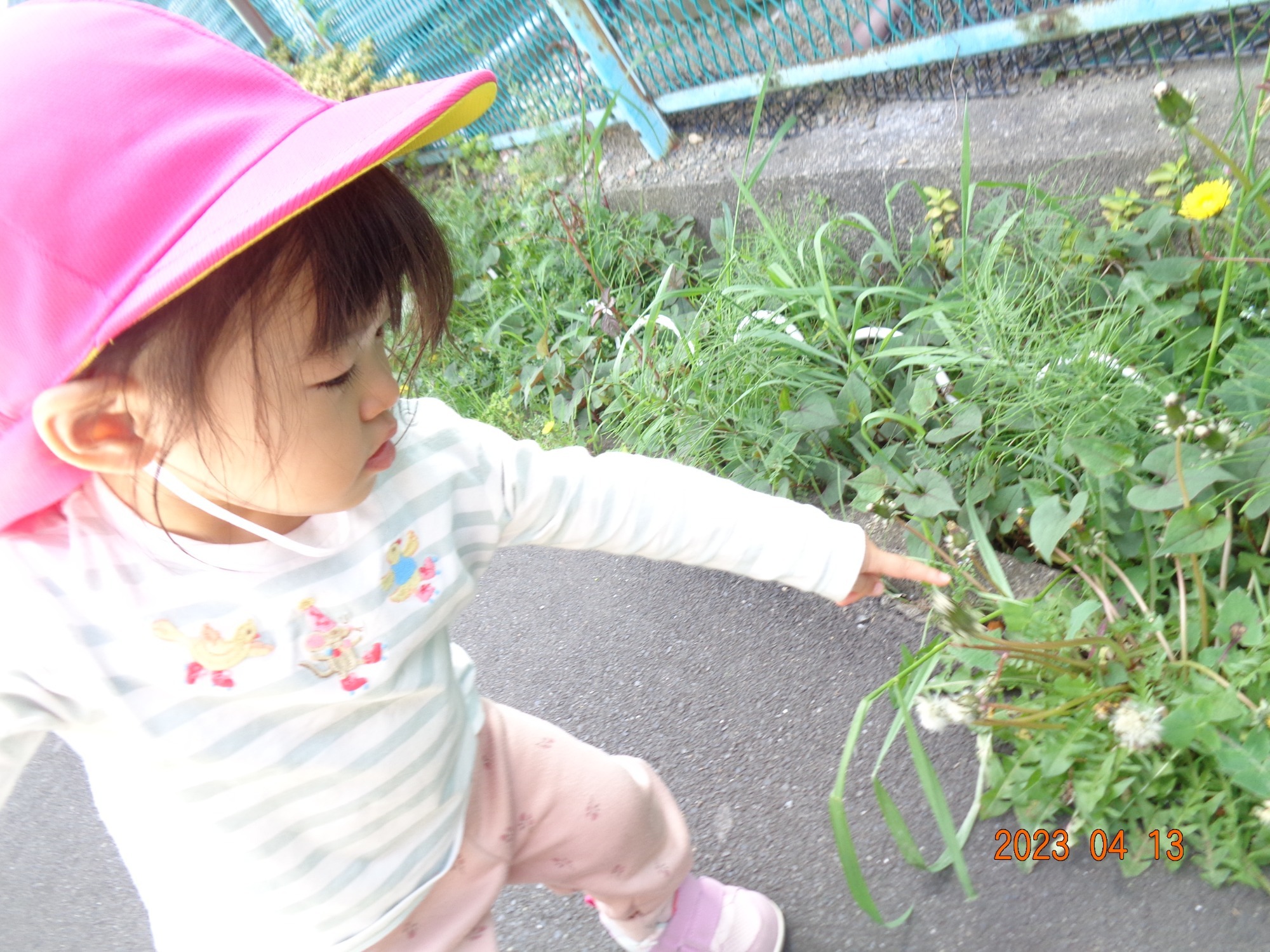 写真：休憩中の園児