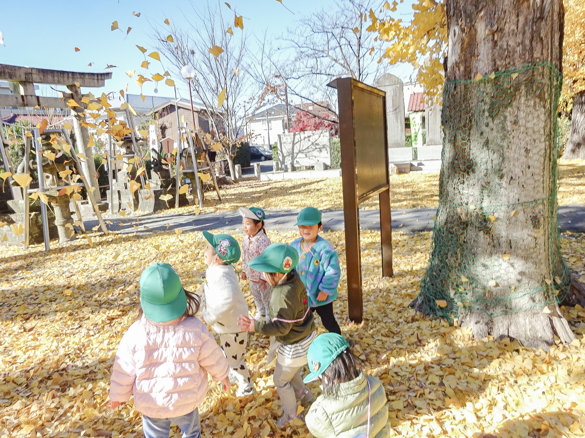 写真：遊具で遊ぶ園児